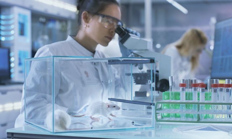 Biokompatybilność wyrobów medycznych​